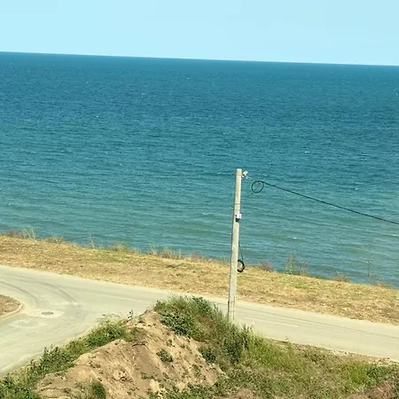 Mint Vibes كوستِنيست